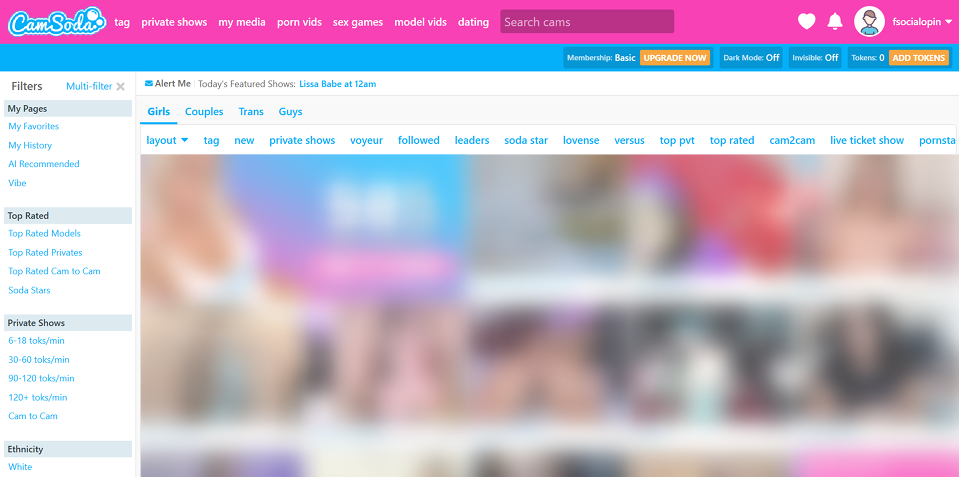 CamSoda interface example showing modern cam platform layout