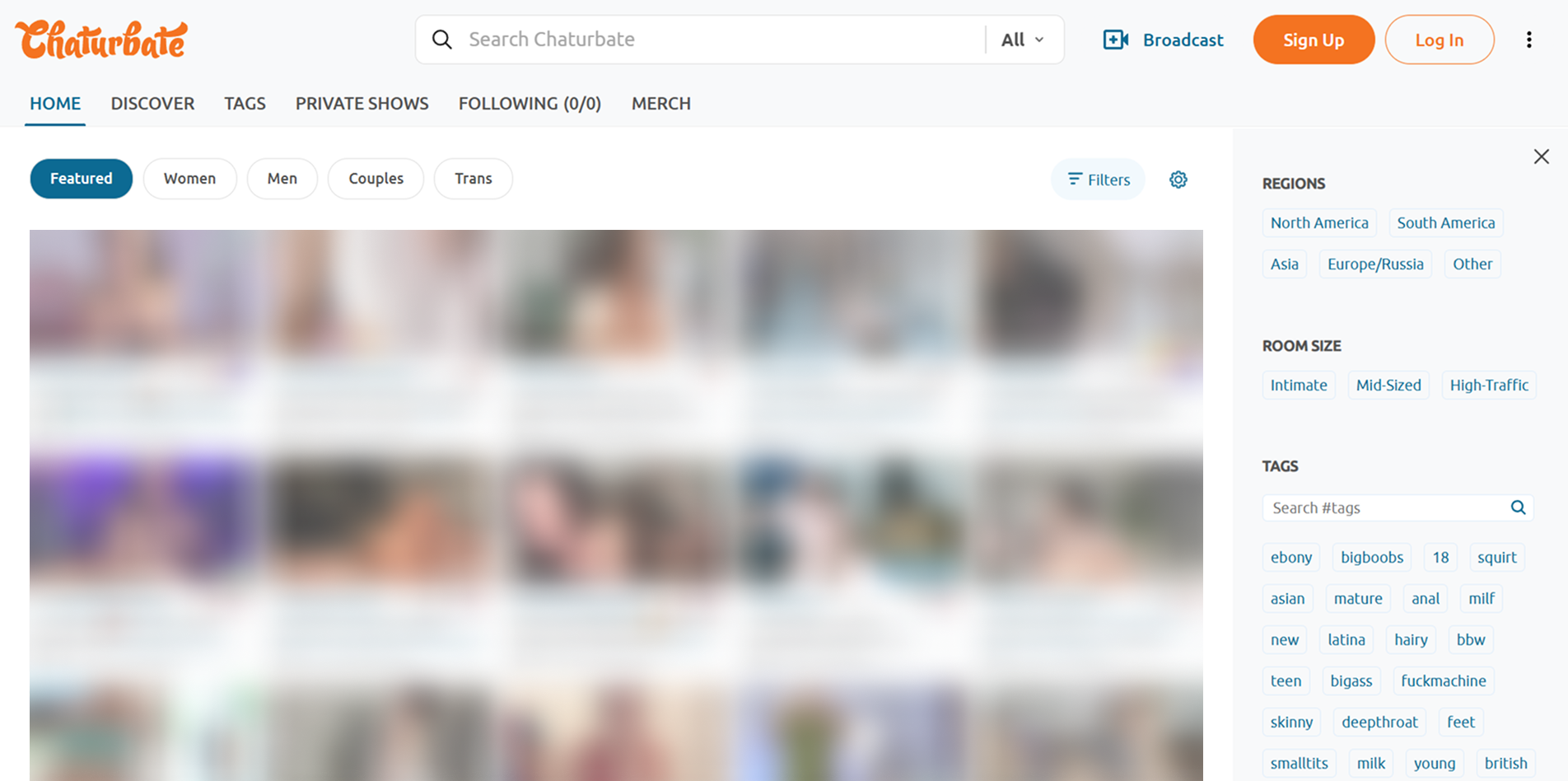 Chaturbate public chat example with large community room