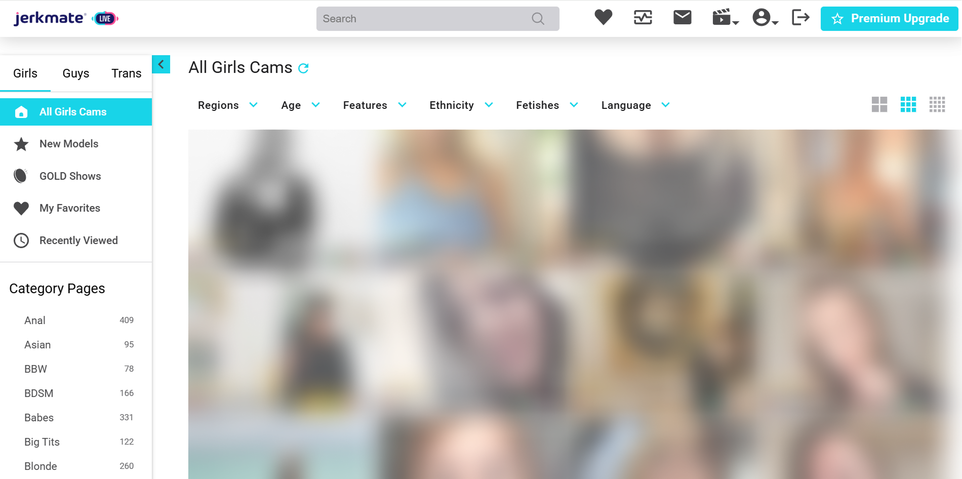 Jerkmate homepage interface and matching quiz